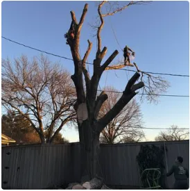 Custom outdoor landscaping experts serving Del City, OK - Arbor Bros Tree Care and Landscaping