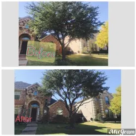 Top-rated yard maintenance for year-round maintenance in Del City, OK by Arbor Bros Tree Care and Landscaping