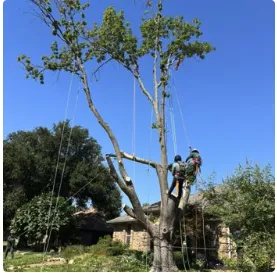 Top-rated lawn mowing service for outdoor upgrades in Del City, OK by Arbor Bros Tree Care and Landscaping