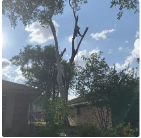 Local lawn mowing service in Del City, OK - Arbor Bros Tree Care and Landscaping