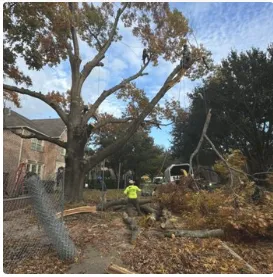 Local landscaping services in Del City, OK by Arbor Bros Tree Care and Landscaping