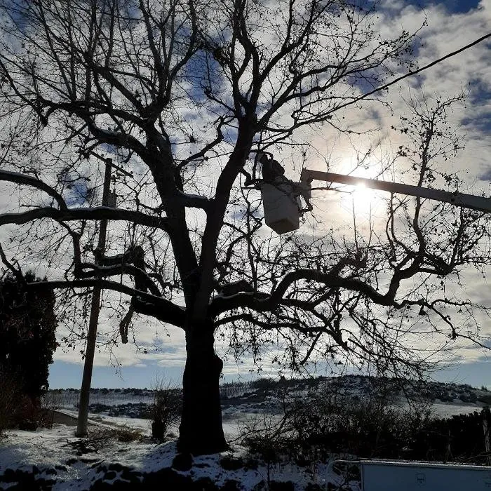 Affordable outdoor landscaping in Ellensburg, WA - Arbor Care Lawn & Pest Control