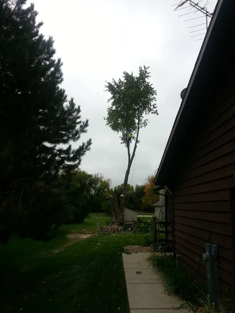 Custom yard maintenance in Appleton, WI - Arbor Care Of The Fox Valley