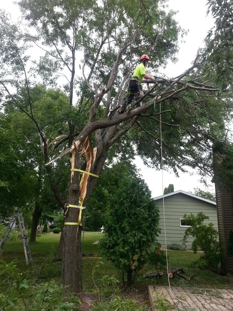Expert landscape design experts serving Appleton, WI - Arbor Care Of The Fox Valley