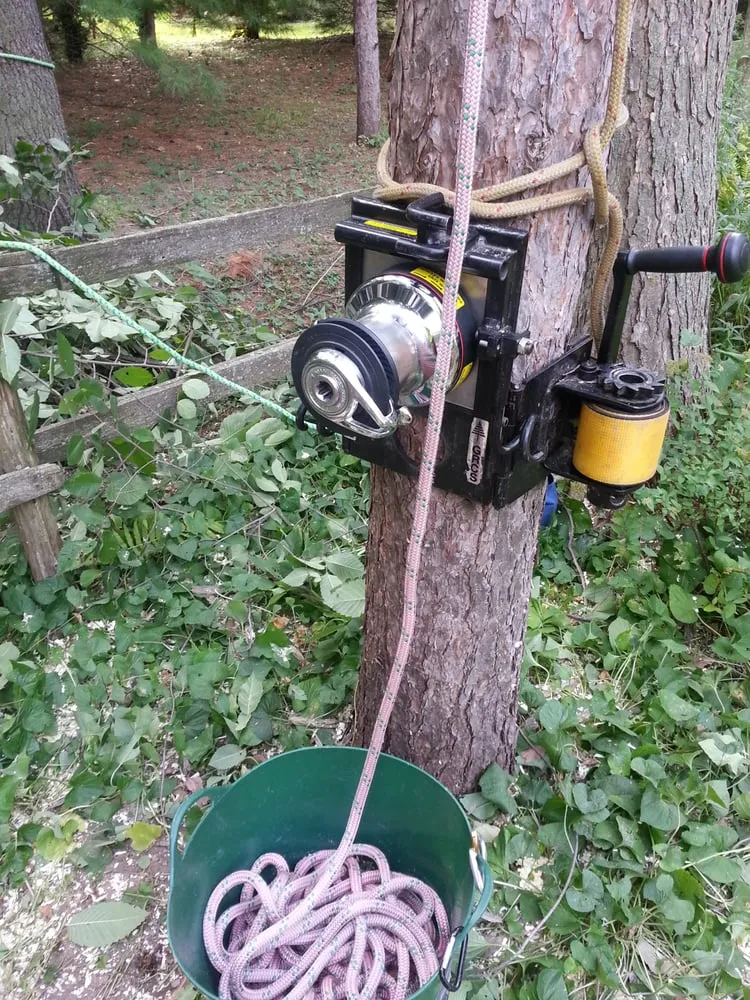 Professional lawn care service for outdoor upgrades across Appleton, WI - Arbor Care Of The Fox Valley