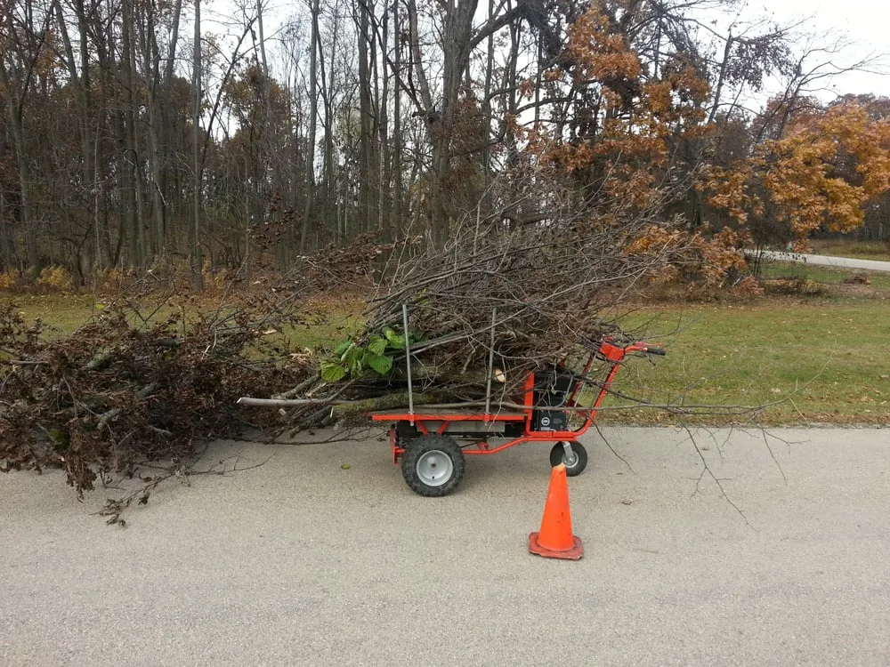 Expert outdoor landscaping in Appleton, WI by Arbor Care Of The Fox Valley