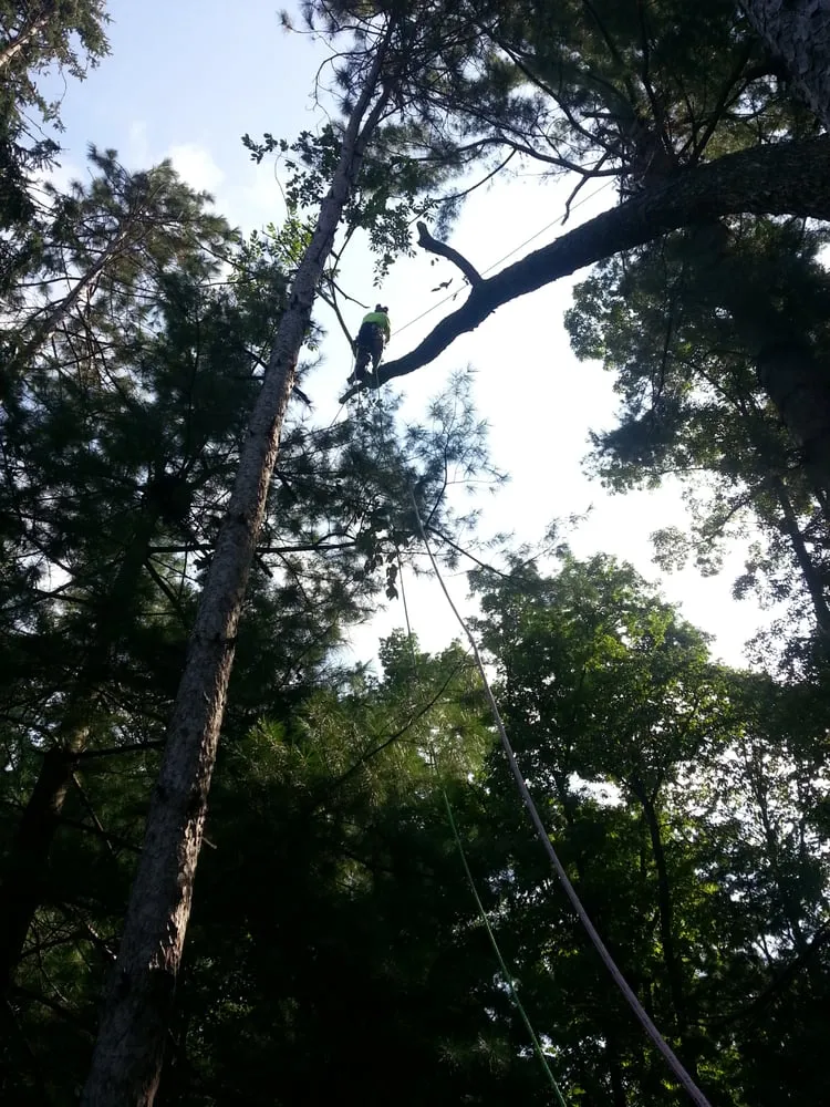 Custom landscape design in Appleton, WI - Arbor Care Of The Fox Valley