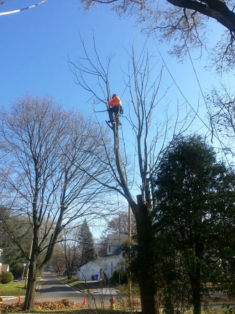 Trusted residential landscaping experts serving Appleton, WI - Arbor Care Of The Fox Valley