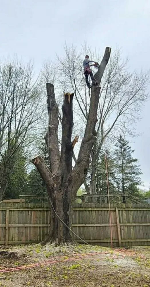 Top-rated garden landscaping in Orlando, FL - Arbor Care