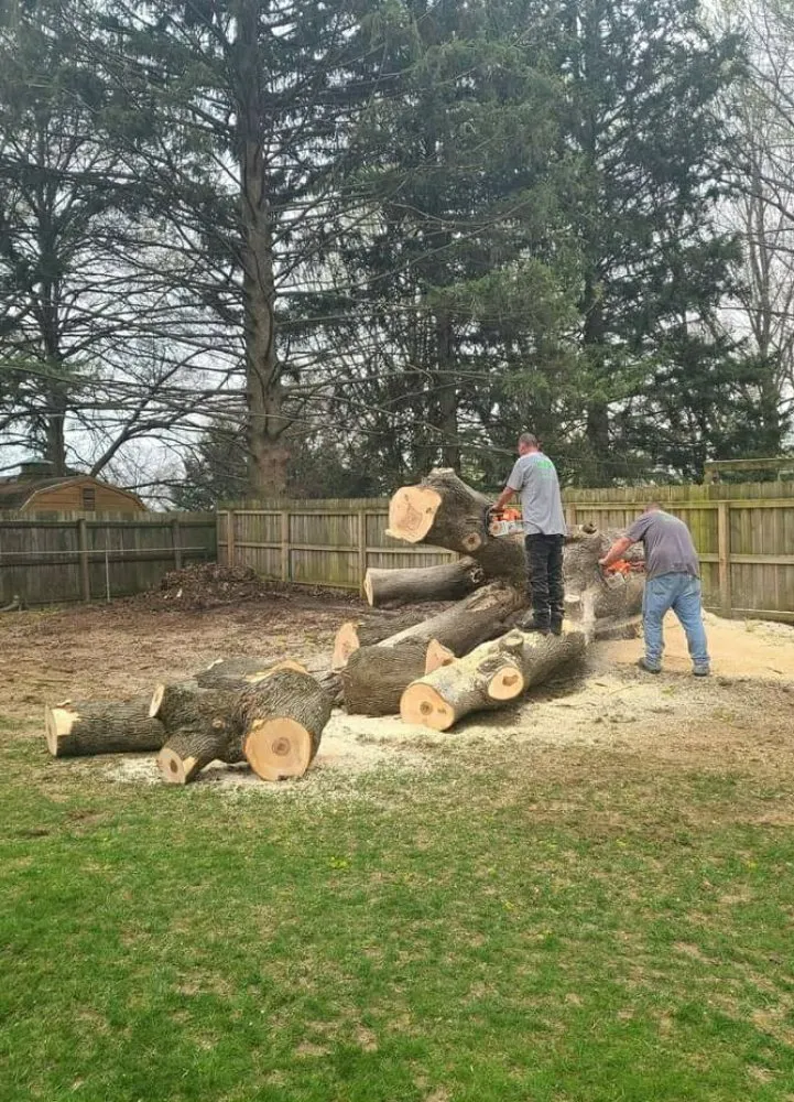 Trusted outdoor landscaping in Orlando, FL by Arbor Care