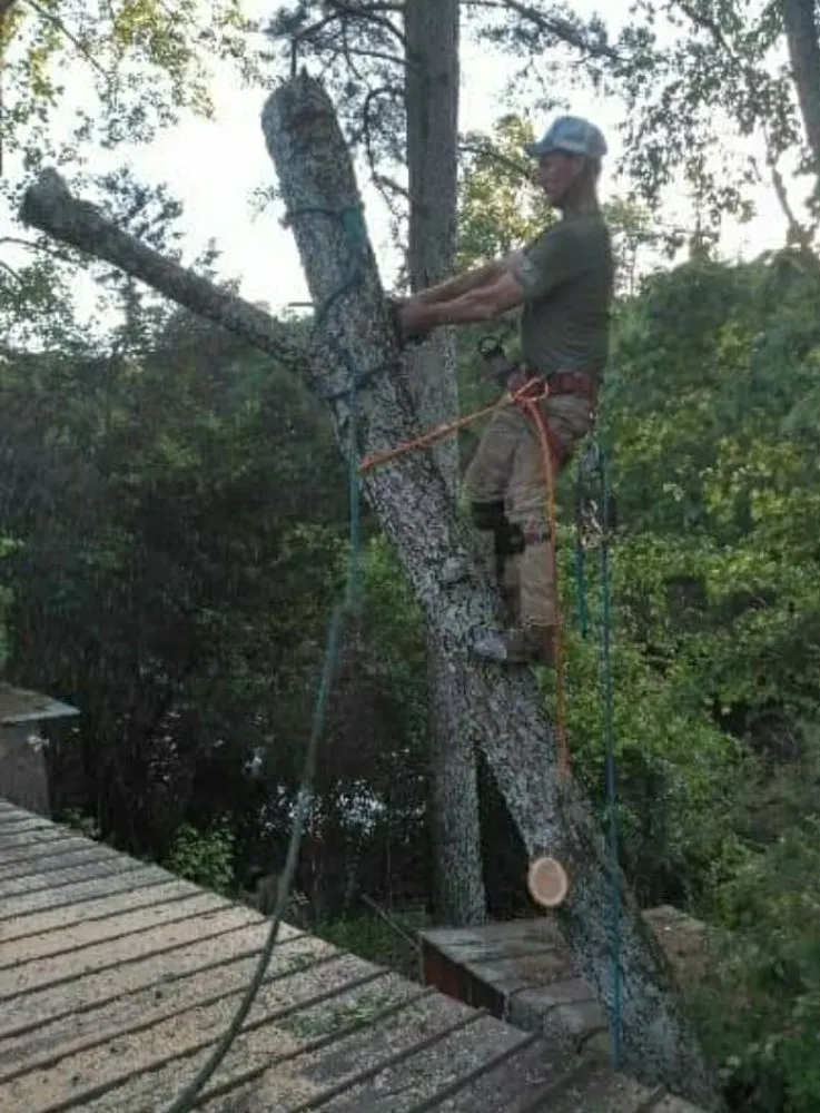 Trusted lawn care service in Orlando, FL - Arbor Care