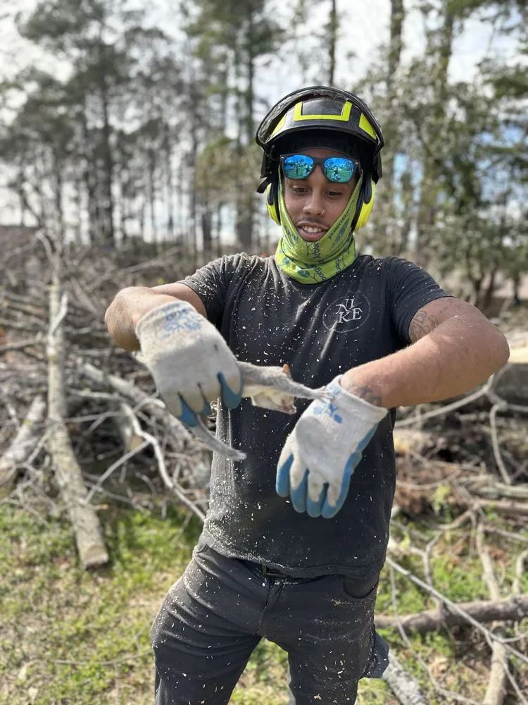 Professional yard cleanup service for year-round maintenance across Lithonia, GA - Arbor Culture