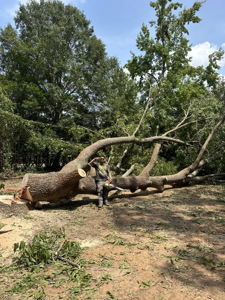 Top-rated landscaping services for residential properties across Lithonia, GA - Arbor Culture