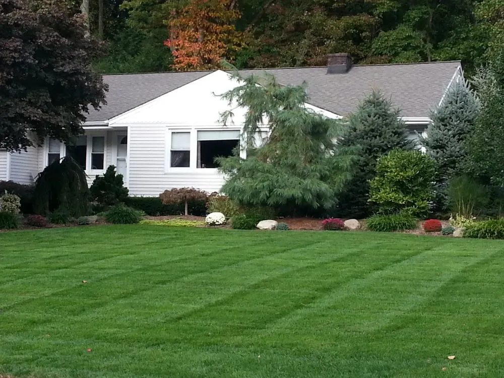 Custom yard maintenance in Park Ridge, NJ - Arbor Culture
