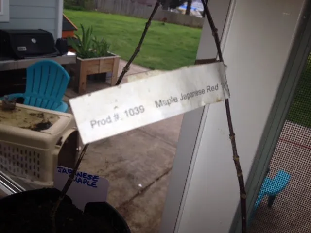 Local lawn care service experts serving Nebraska City, NE - Arbor Day Foundation