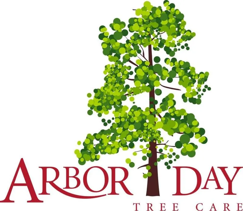 Custom landscape design experts serving Novato, CA - Arbor Day Tree Care