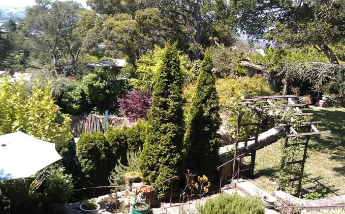 Custom residential landscaping for year-round maintenance in Novato, CA by Arbor Day Tree Care