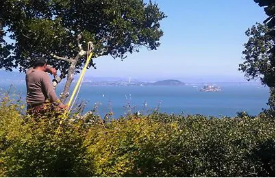 Top-rated garden landscaping for beautiful yards across Novato, CA - Arbor Day Tree Care