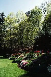 Reliable yard maintenance in Arlington, WA - Arbor Design Landscape & Maintenance