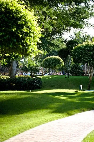 Custom lawn mowing service in Arlington, WA - Arbor Design Landscape & Maintenance