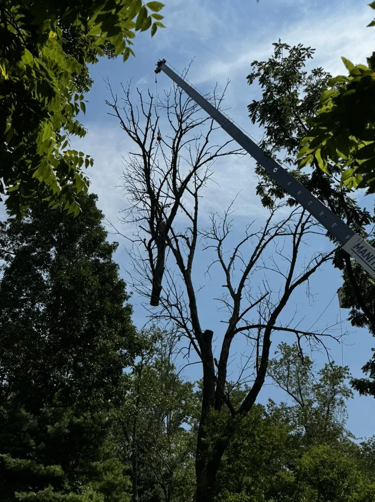 Professional landscape design for year-round maintenance in Upper Black Eddy, PA by Arbor Doc Tree Service