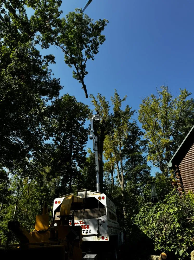 Custom residential landscaping experts serving Upper Black Eddy, PA - Arbor Doc Tree Service