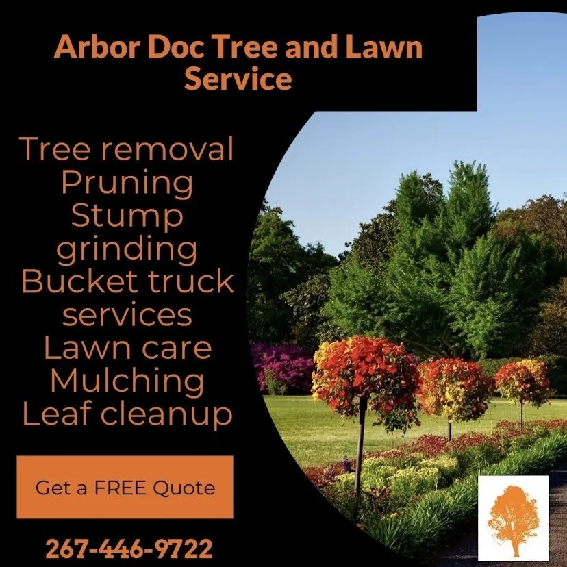 Professional landscaping services for outdoor upgrades in Upper Black Eddy, PA by Arbor Doc Tree Service