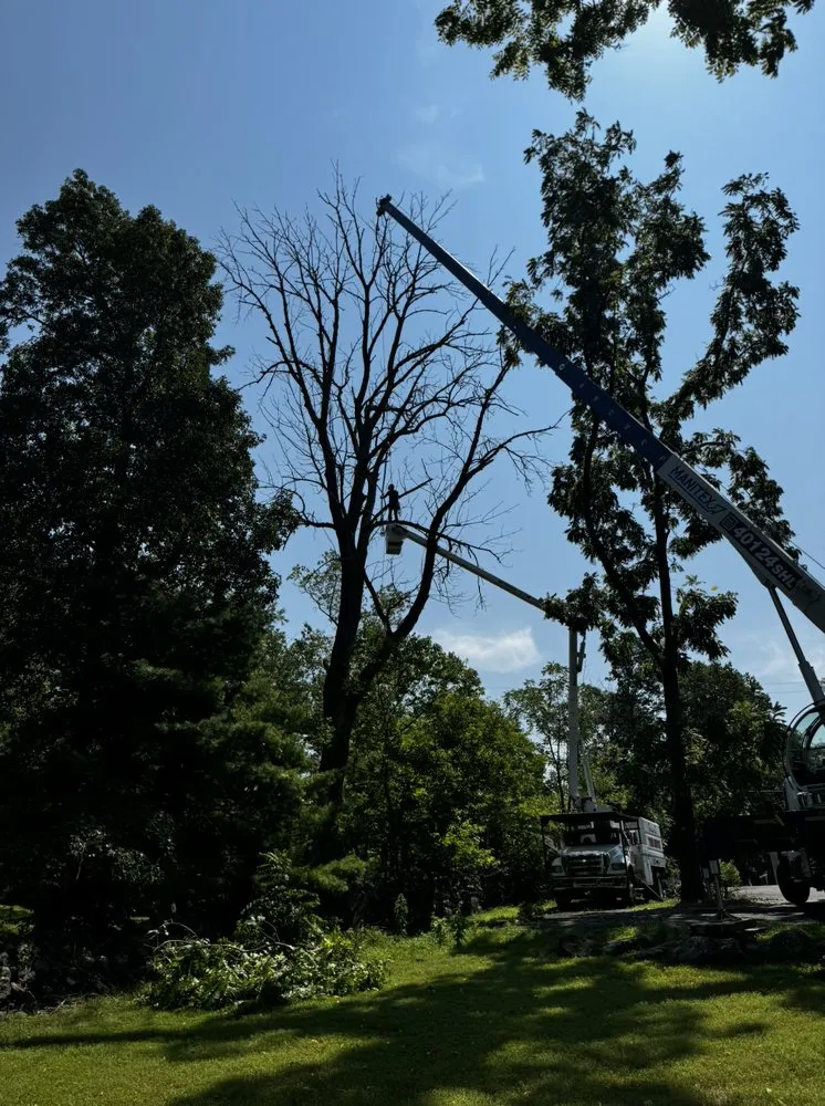 Professional landscaping services in Upper Black Eddy, PA by Arbor Doc Tree Service