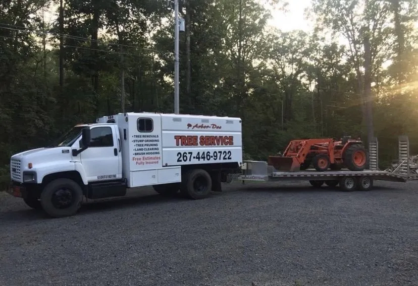 Professional outdoor landscaping near you across Upper Black Eddy, PA - Arbor Doc Tree Service