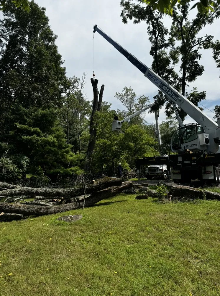 Professional landscape design in Upper Black Eddy, PA - Arbor Doc Tree Service
