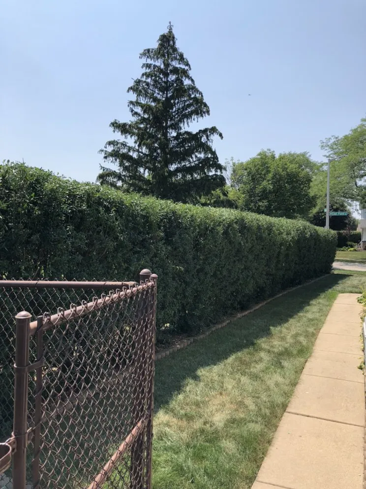 Affordable landscape installation in West Chicago, IL by Arbor Earth & Snow