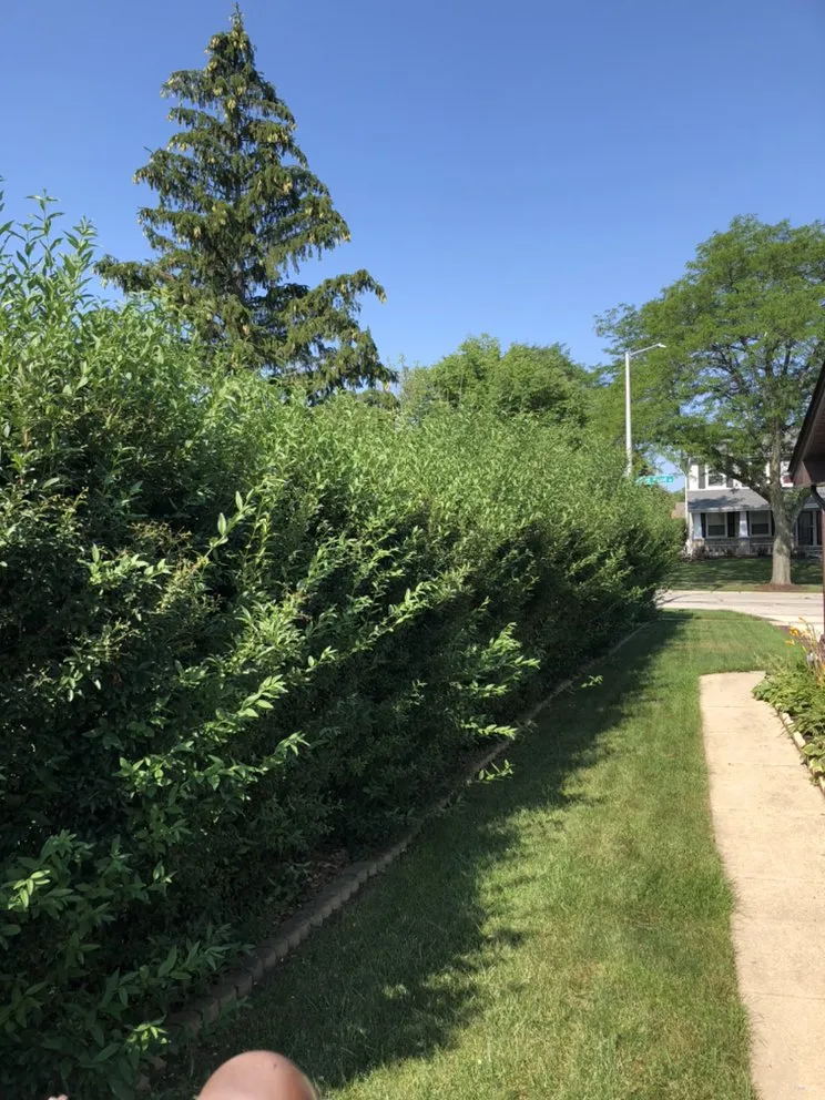Custom outdoor landscaping in West Chicago, IL by Arbor Earth & Snow