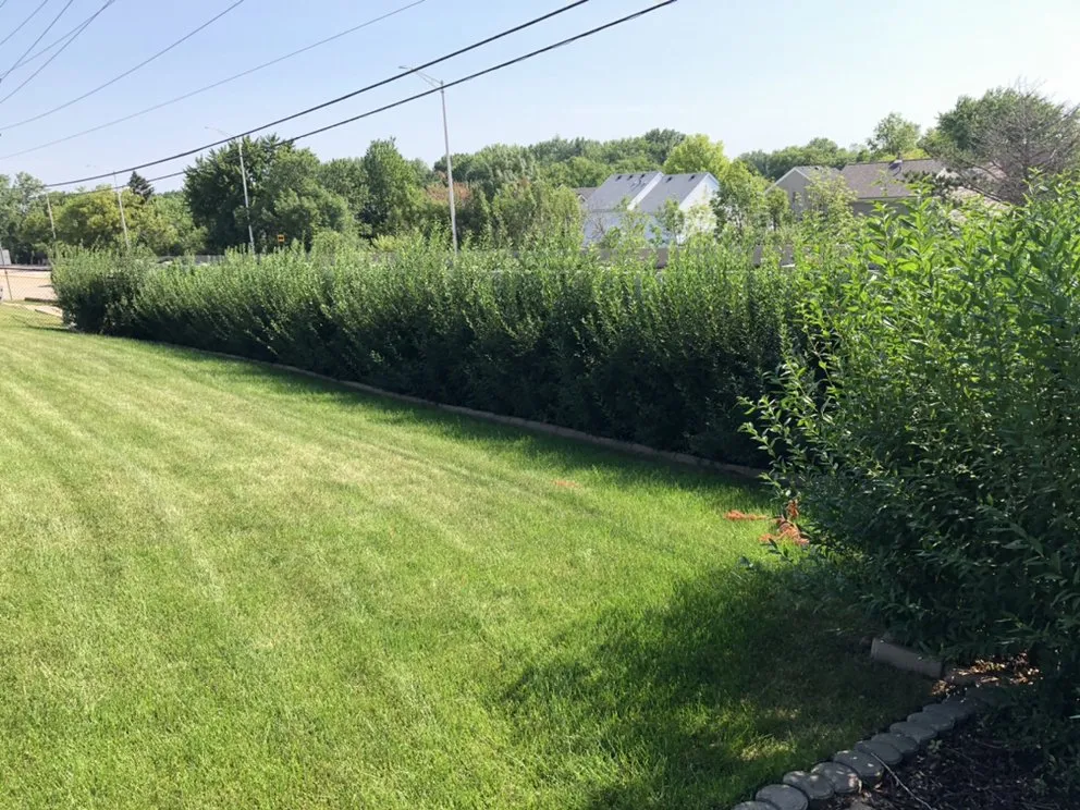 Custom lawn mowing service experts serving West Chicago, IL - Arbor Earth & Snow