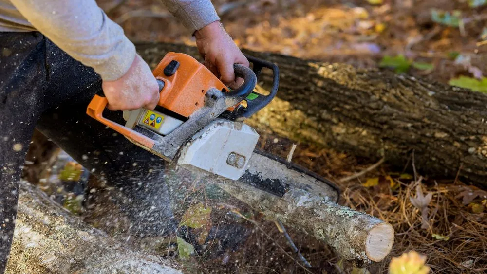 Affordable yard cleanup service for homes in Cumming, GA by Arbor Elite