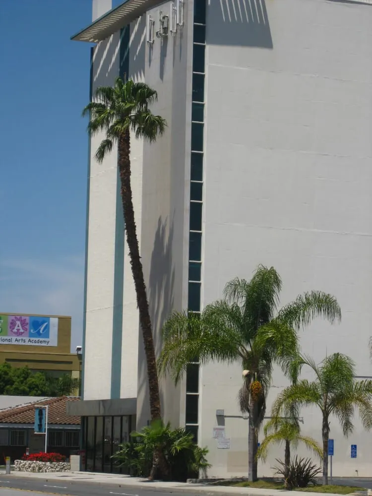 Reliable outdoor landscaping in Placentia, CA - Arbor Expertise