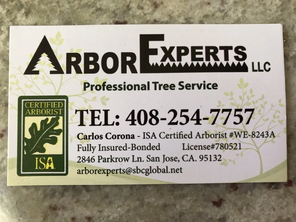 Affordable landscape design in San Jose, CA by Arbor Experts