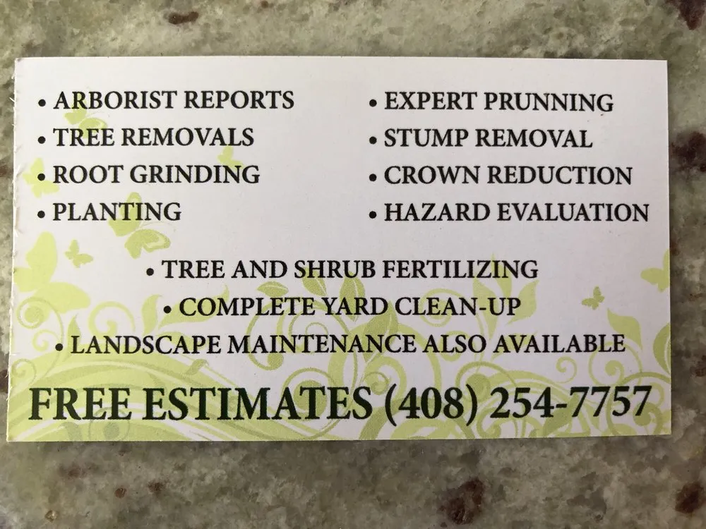 Trusted lawn mowing service for homes in San Jose, CA by Arbor Experts