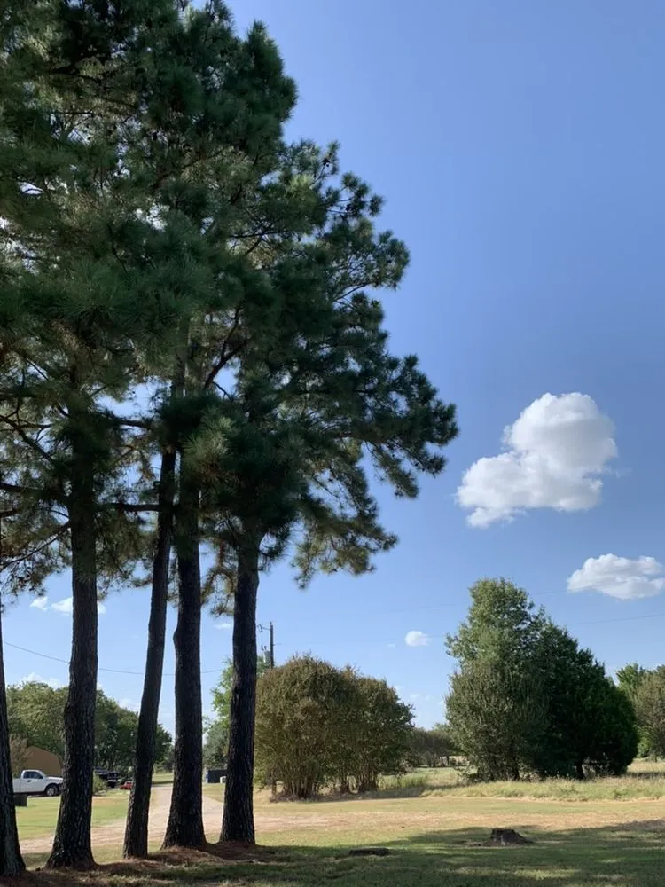 Expert yard maintenance in Mabank, TX - Arbor Fit