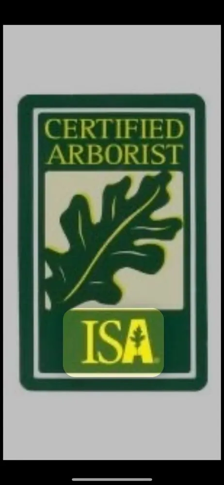 Top-rated garden landscaping experts serving Mabank, TX - Arbor Fit