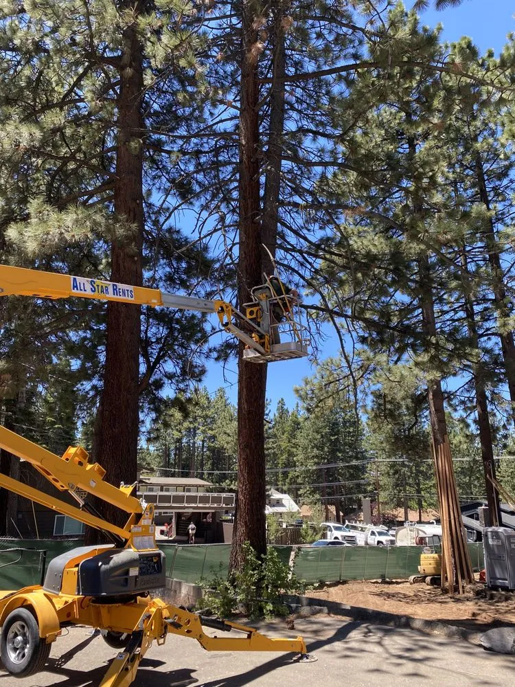 Top-rated yard cleanup service experts serving South Lake Tahoe, CA - Arbor Green Tree & Landscape Company