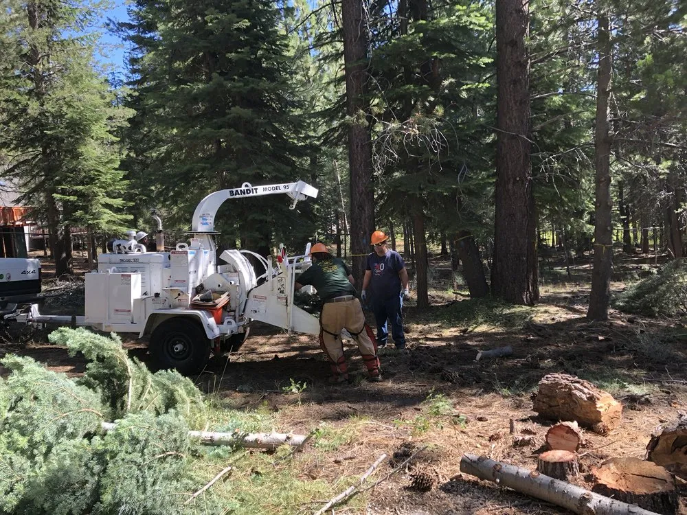 Trusted outdoor landscaping with custom design across South Lake Tahoe, CA - Arbor Green Tree & Landscape Company