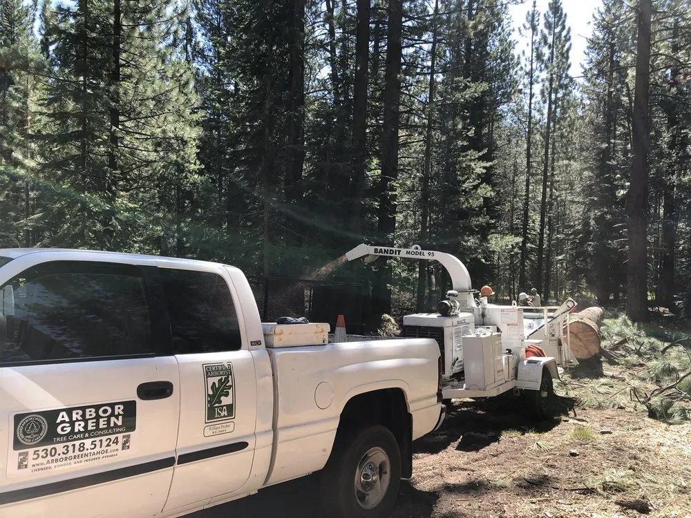 Affordable landscaping services in South Lake Tahoe, CA by Arbor Green Tree & Landscape Company