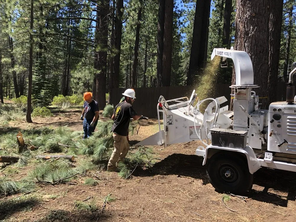 Reliable yard maintenance with custom design in South Lake Tahoe, CA by Arbor Green Tree & Landscape Company