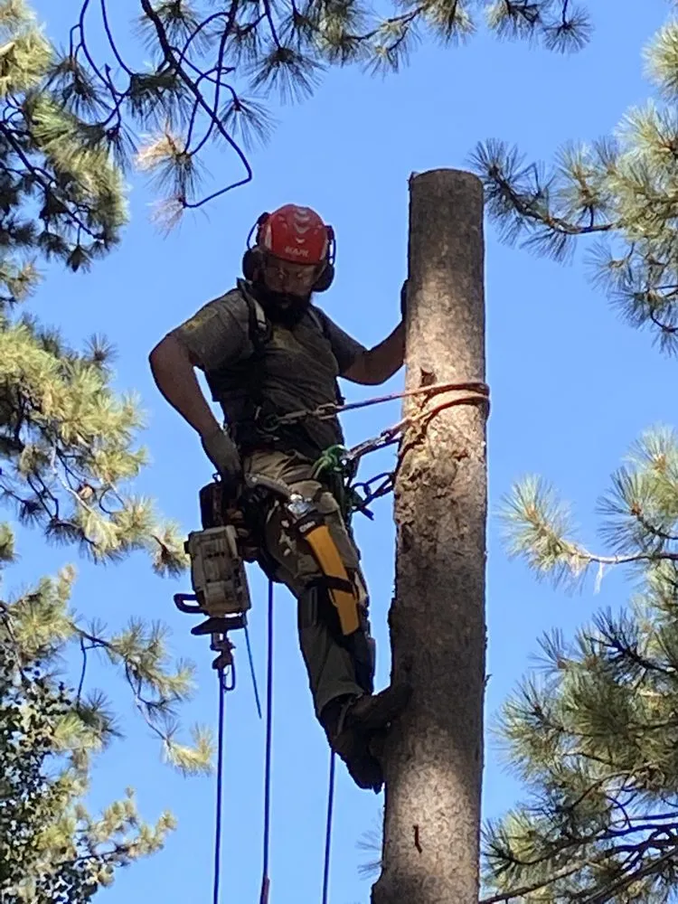 Reliable yard maintenance in South Lake Tahoe, CA - Arbor Green Tree & Landscape Company