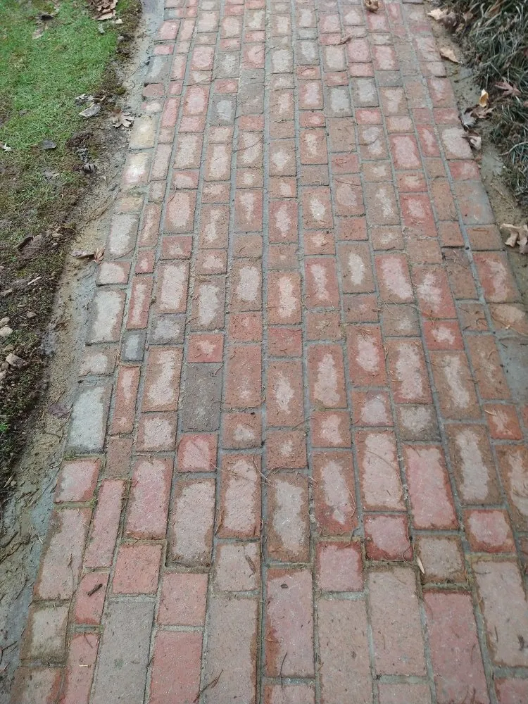 Professional landscaping services experts serving Knoxville, TN - Arbor Heights Landscaping Dept