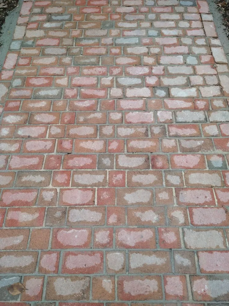 Affordable landscape design for beautiful yards in Knoxville, TN by Arbor Heights Landscaping Dept