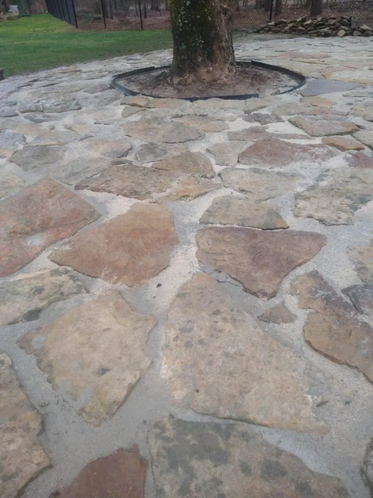 Reliable yard cleanup service in Knoxville, TN - Arbor Heights Landscaping Dept