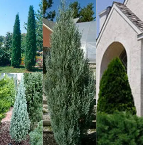 Reliable landscape design in Elkhorn, NE by Arbor Hills Trees & Landscaping