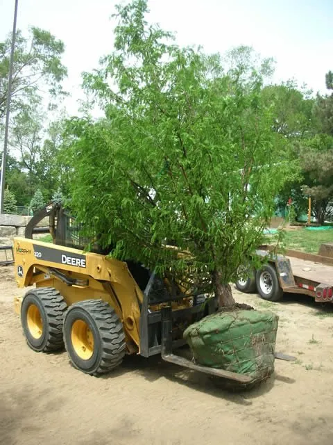 Custom lawn mowing service in Elkhorn, NE by Arbor Hills Trees & Landscaping