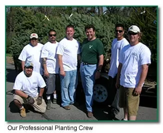 Reliable lawn mowing service in Elkhorn, NE - Arbor Hills Trees & Landscaping